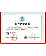 软件企业证书